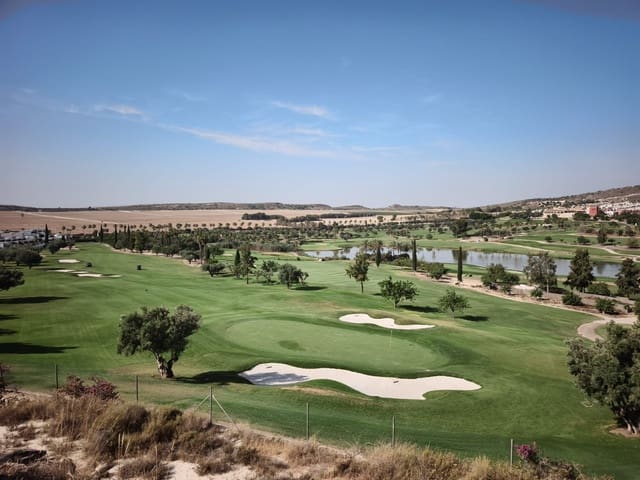 Pareado de 3 habitaciones en Algorfa en venta con piscina garaje - 235.000 € (Ref: 10042666)