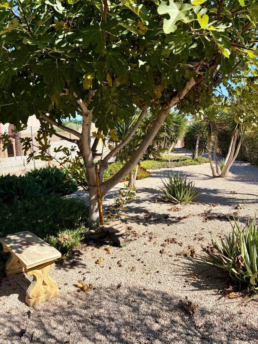2 camera da letto Appartamento in vendita in Orihuela con piscina - 115.000 € (Rif: 10180052)