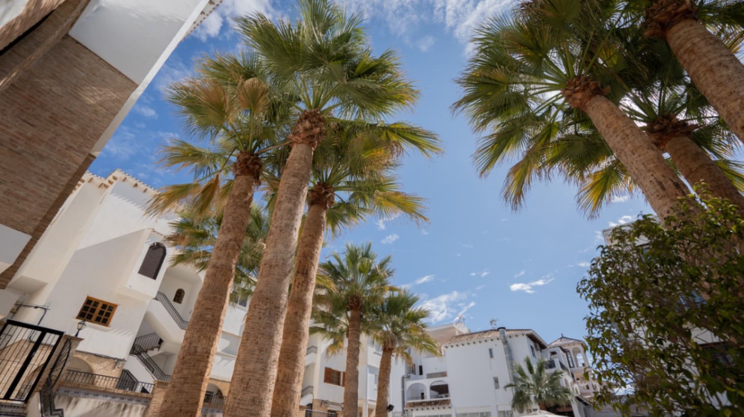 1 soverom Leilighet til salgs i Villamartin med svømmebasseng - € 155 000 (Ref: 9519071)