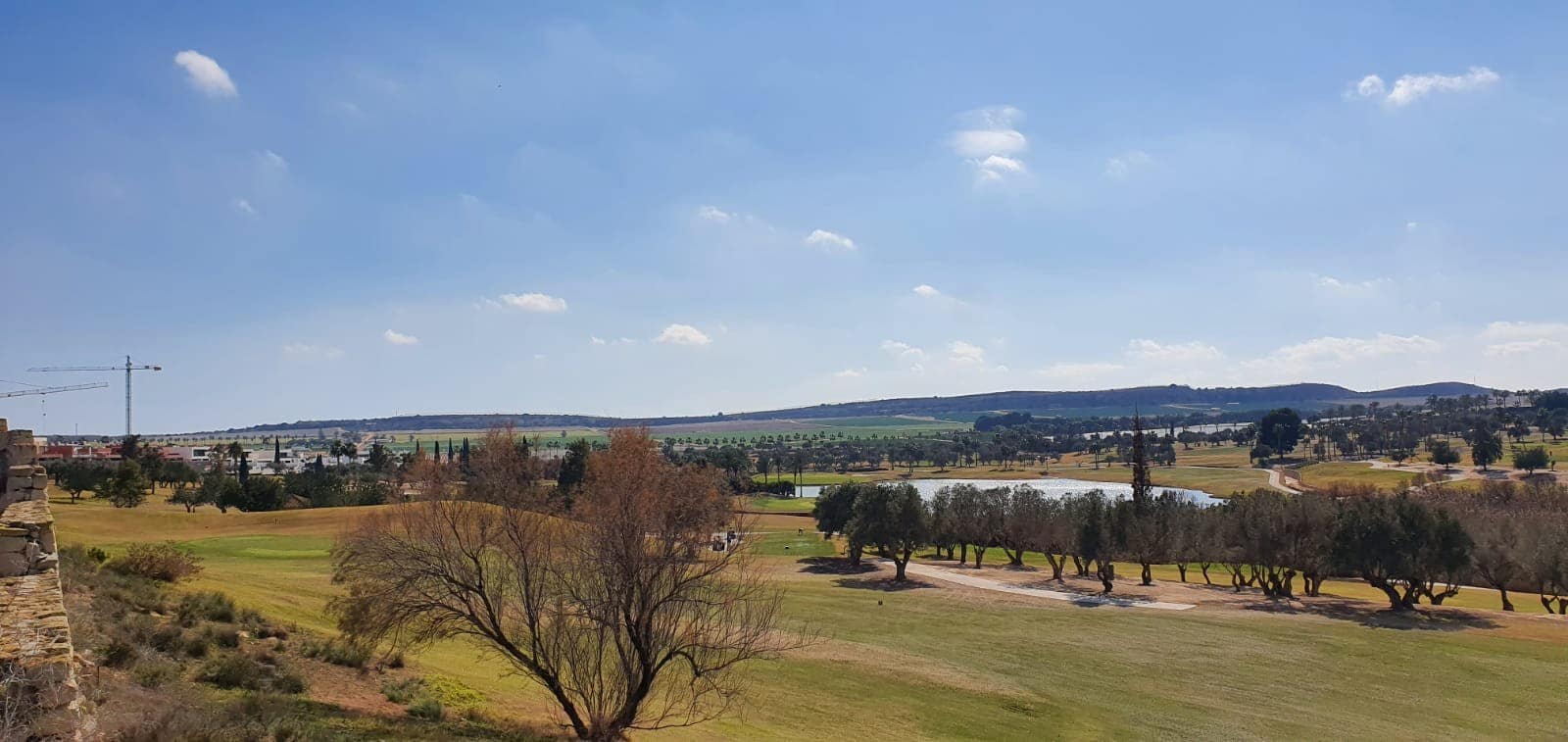 2 Zimmer Apartment zu verkaufen in Algorfa mit Pool - 268.000 € (Ref: 9529085)