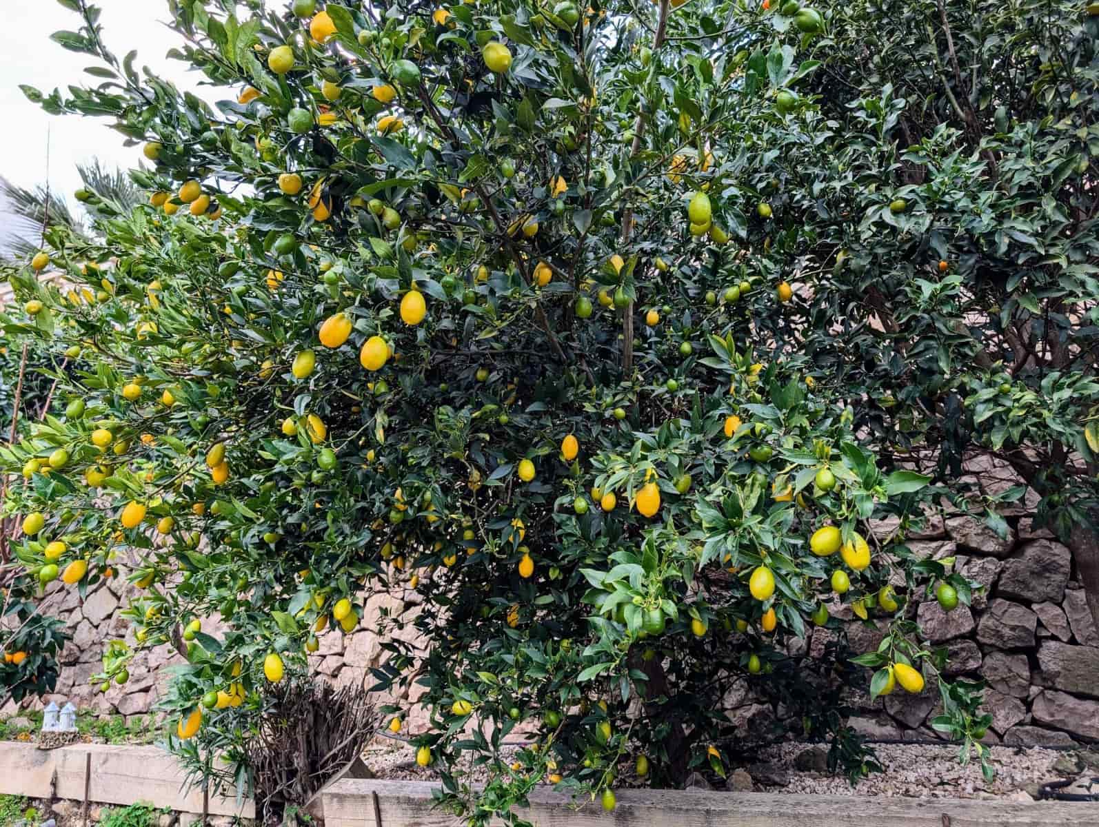 4 slaapkamer Villa te koop in Benissa met zwembad garage - € 599.500 (Ref: 9551172)