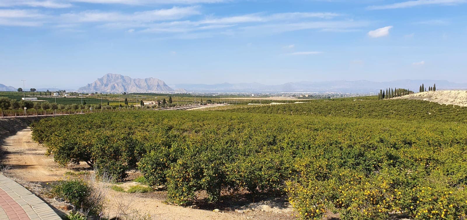 3 chambre Villa/Maison à vendre à Algorfa avec piscine - 600 000 € (Ref: 9559343)