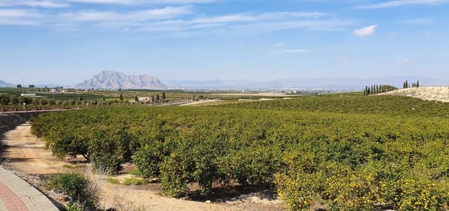 3 slaapkamer Villa te koop in Algorfa met zwembad - € 450.000 (Ref: 9559344)