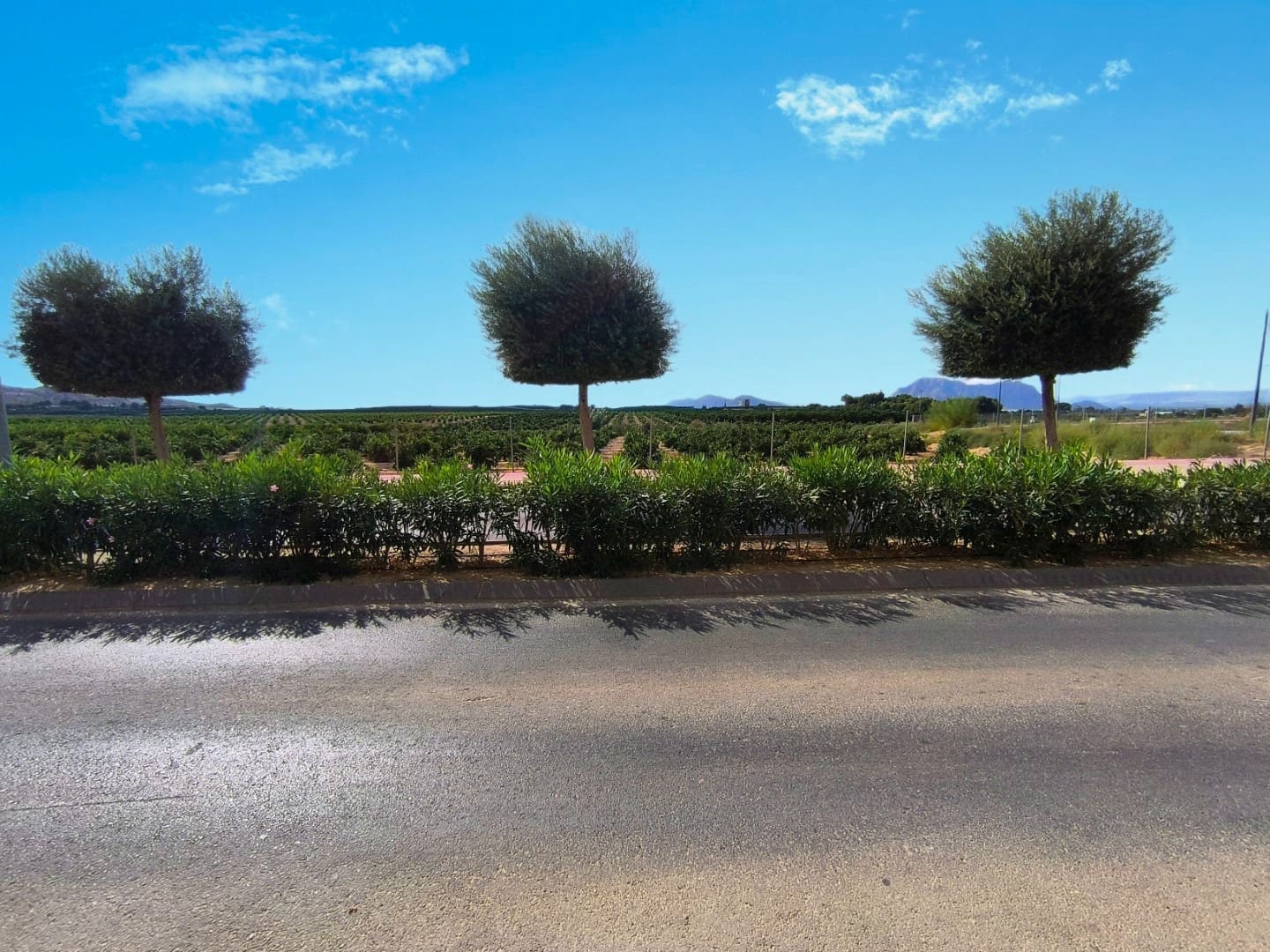 2 Zimmer Apartment zu verkaufen in Algorfa mit Pool - 109.950 € (Ref: 9568300)