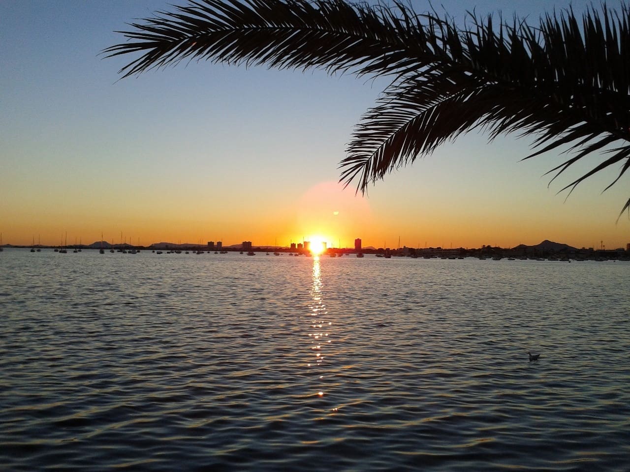 4 sypialnia Willa na sprzedaż w Torre de la Horadada z garażem - 272 000 € (Ref: 9570925)