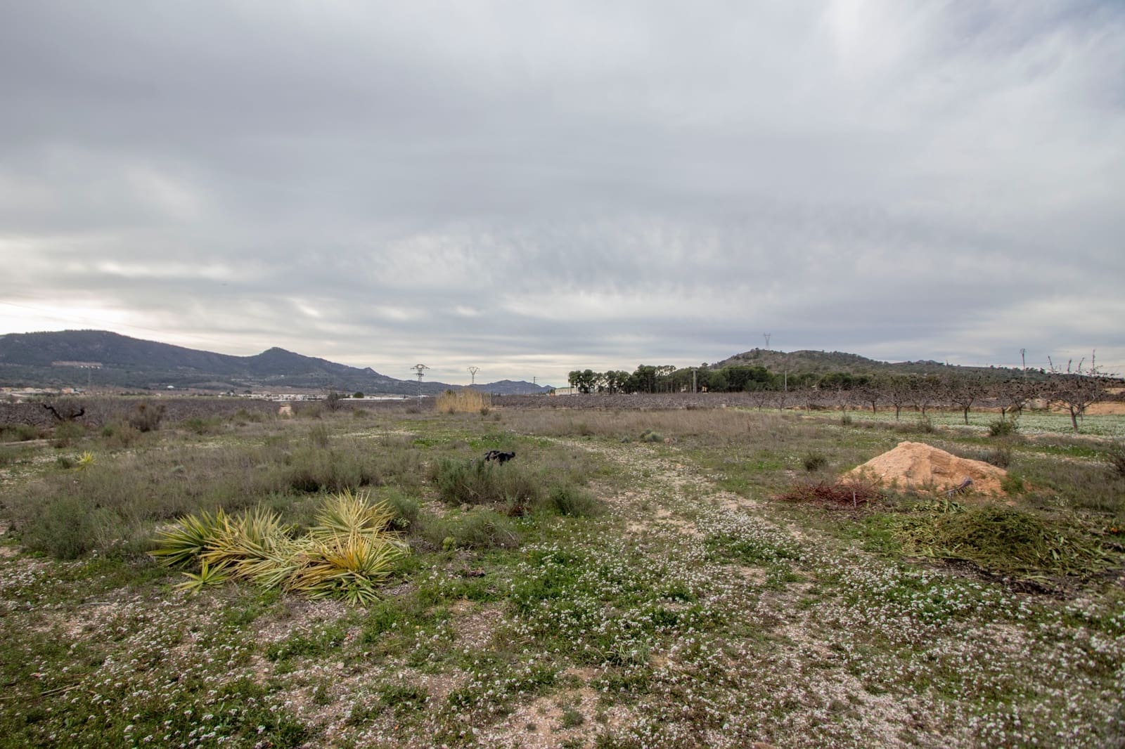 2 soverom Villa til salgs i Hondon de los Frailes med svømmebasseng garasje - € 339 995 (Ref: 9570926)