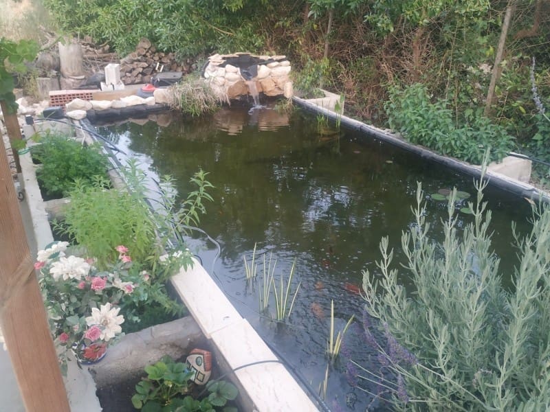 5 camera da letto Villa in vendita in Crevillente / Crevillent con piscina - 479.000 € (Rif: 9658515)