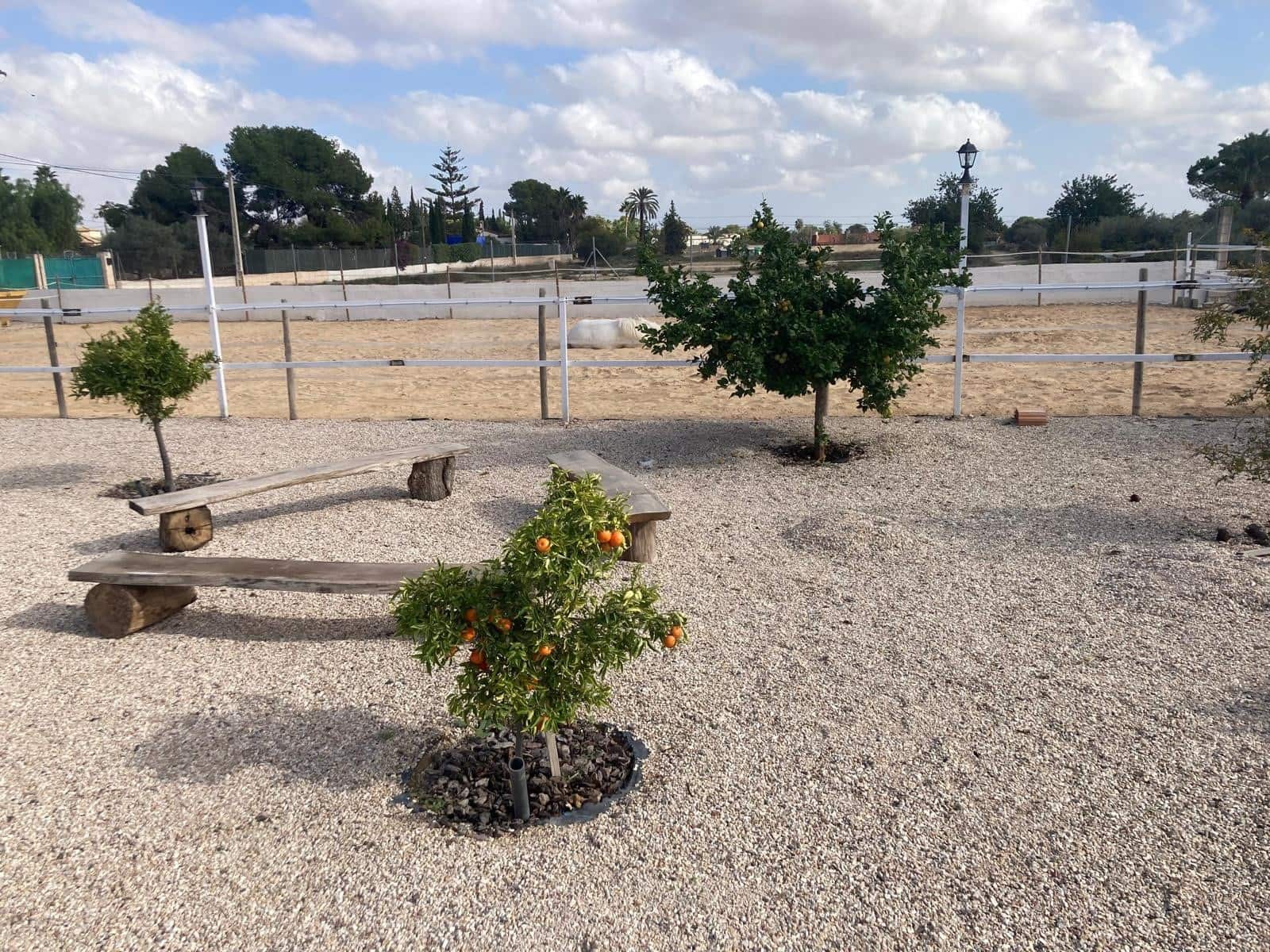 5 camera da letto Villa in vendita in Crevillente / Crevillent con piscina - 479.000 € (Rif: 9658515)