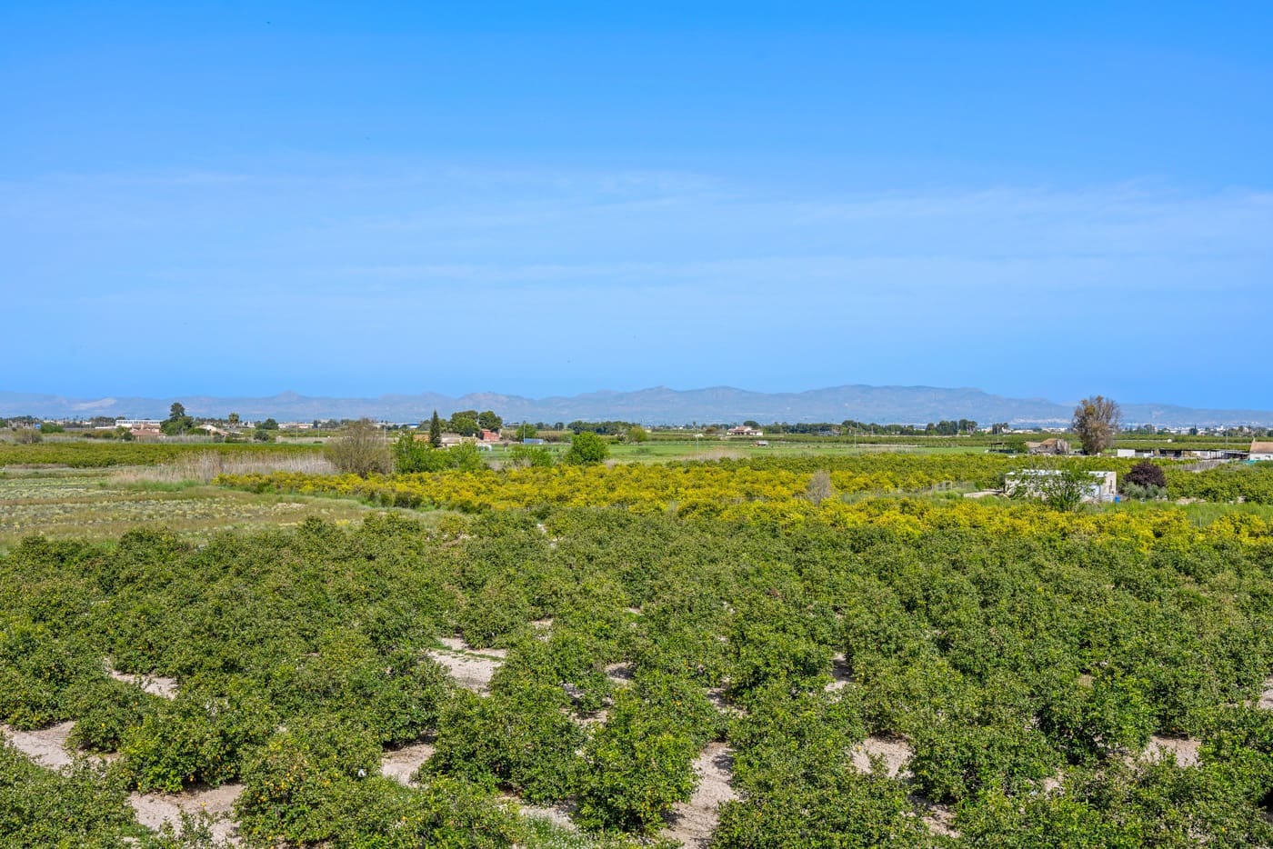 2 slaapkamer Appartement te koop in Daya Nueva met zwembad - € 135.000 (Ref: 9777806)