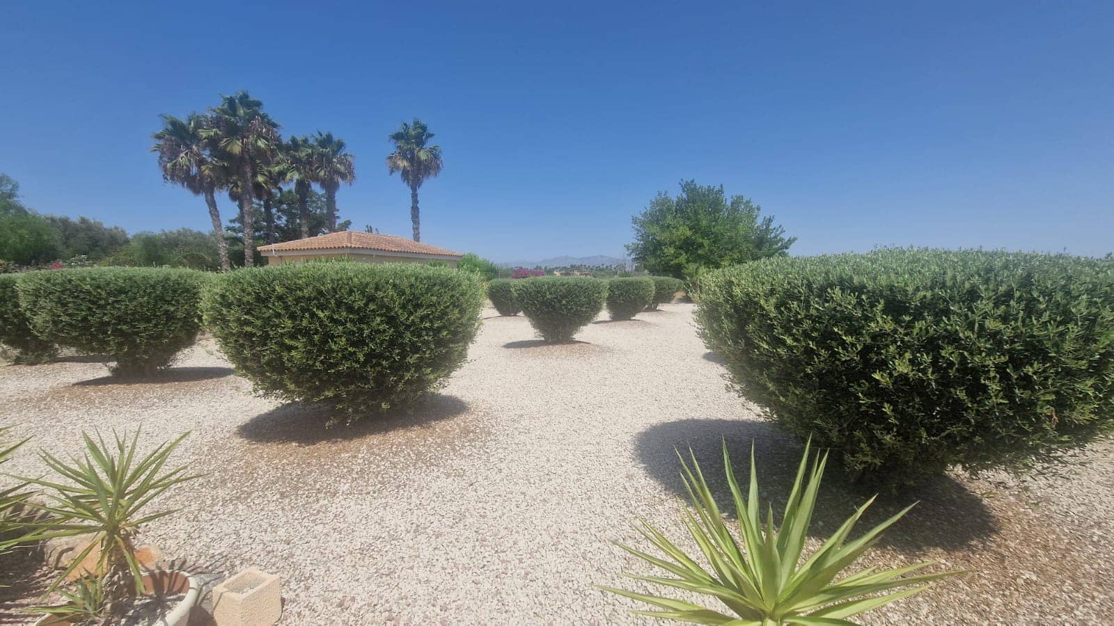 3 chambre Villa/Maison à vendre à Catral avec piscine garage - 379 000 € (Ref: 9998406)