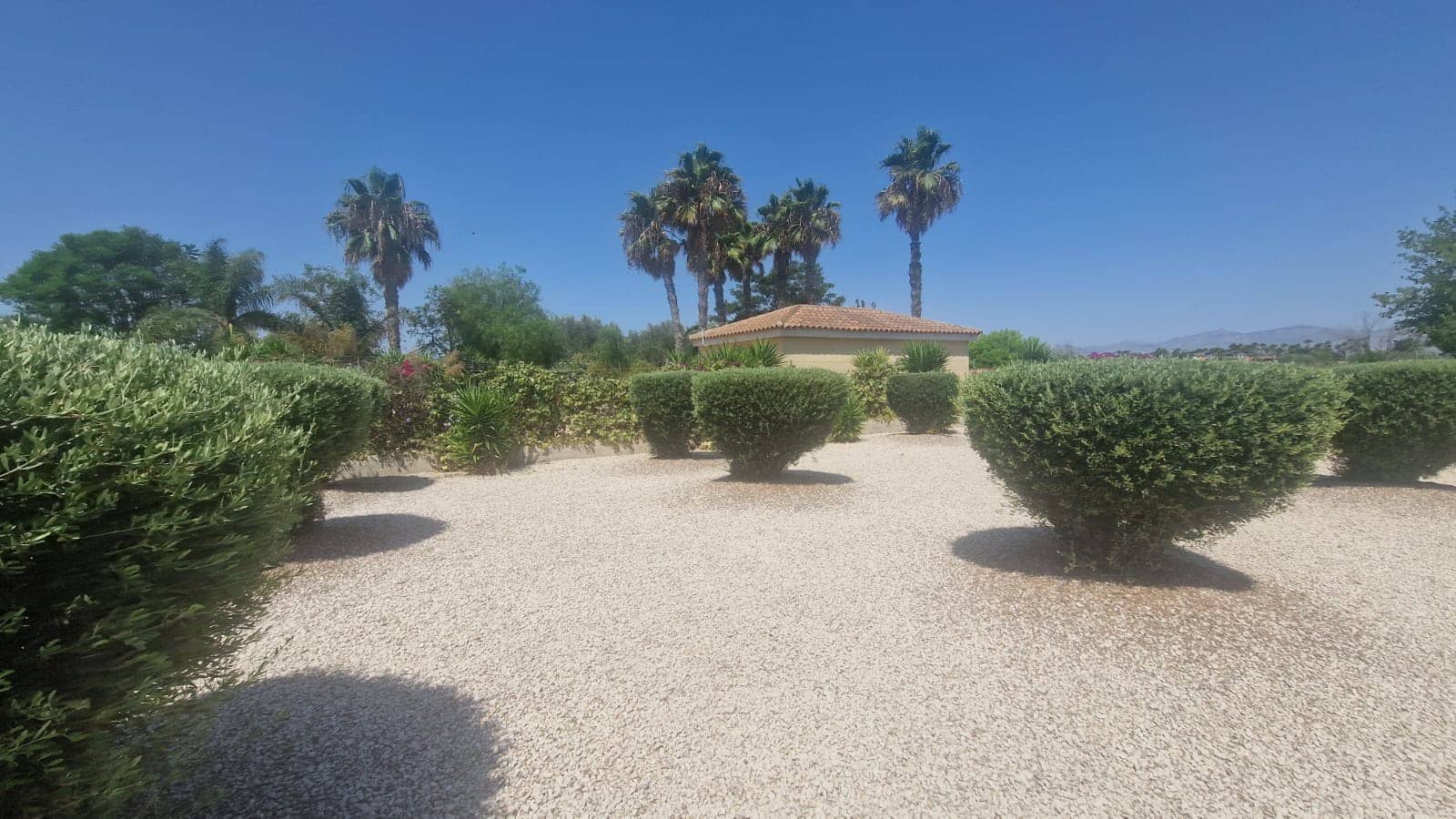 3 chambre Villa/Maison à vendre à Catral avec piscine garage - 379 000 € (Ref: 9998406)