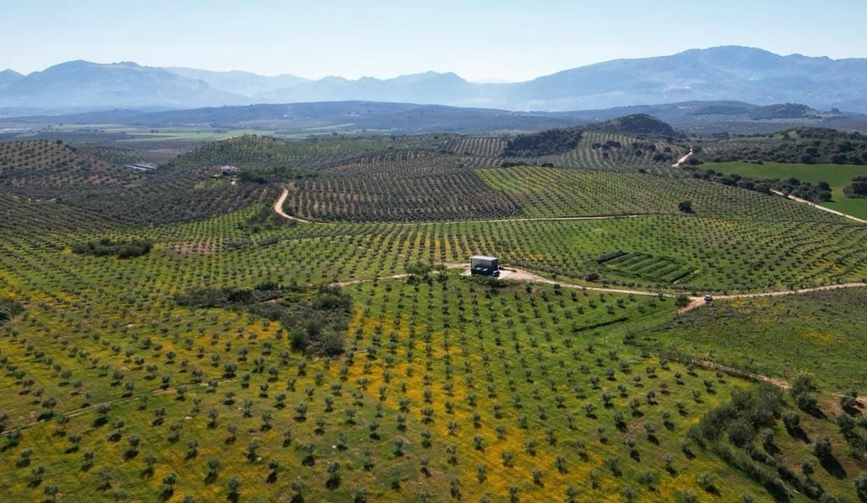 Grond te koop in Archidona - € 1.195.000 (Ref: 8546101)