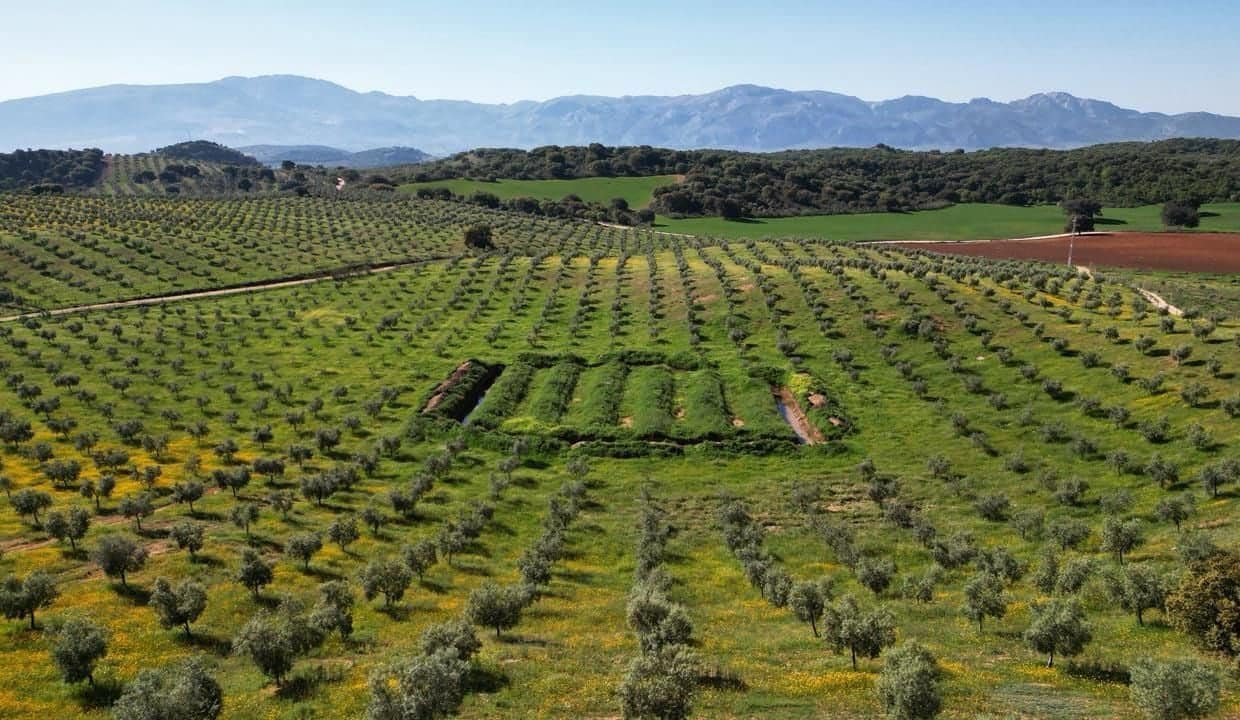 Grond te koop in Archidona - € 1.195.000 (Ref: 8546101)