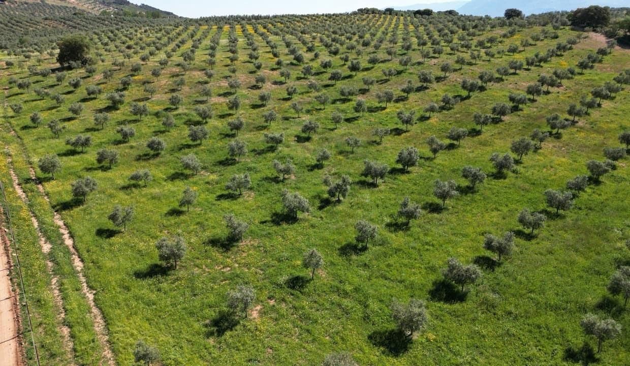 Grond te koop in Archidona - € 1.195.000 (Ref: 8546101)