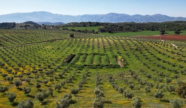 Undeveloped Land for sale in Archidona - € 1,195,000 (Ref: 8546101)