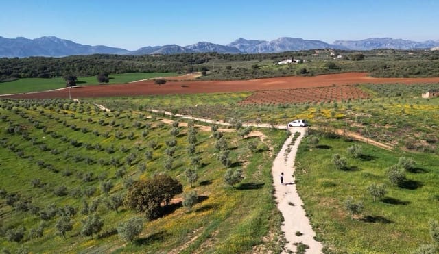 Undeveloped Land for sale in Archidona - € 1,195,000 (Ref: 8546101)