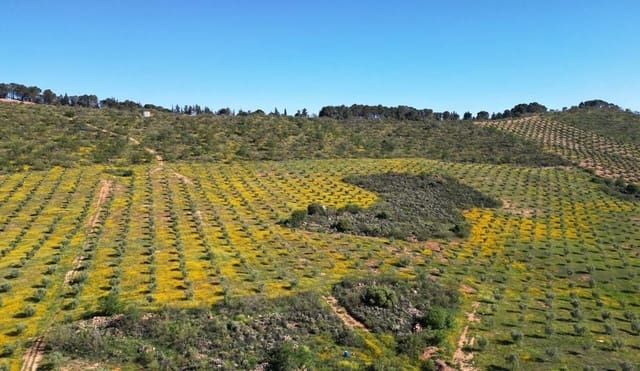 Undeveloped Land for sale in Archidona - € 1,195,000 (Ref: 8546101)