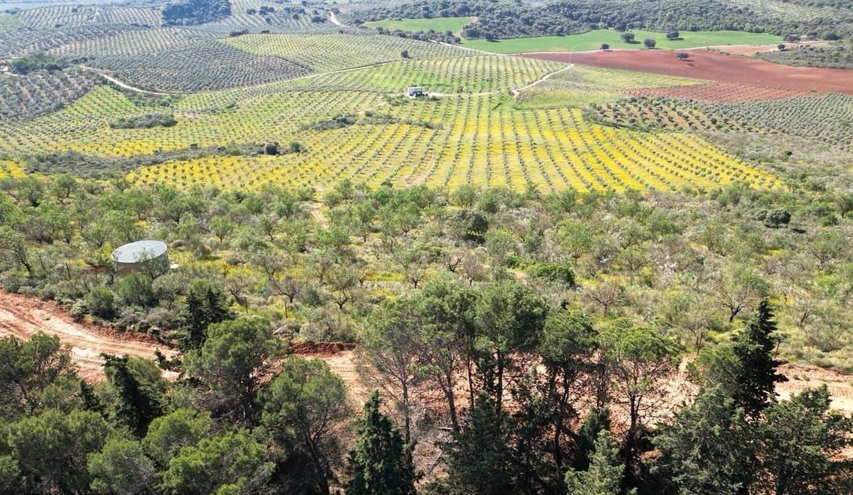 Grond te koop in Archidona - € 1.195.000 (Ref: 8546101)