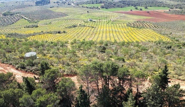 Undeveloped Land for sale in Archidona - € 1,195,000 (Ref: 8546101)