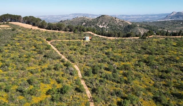 Undeveloped Land for sale in Archidona - € 1,195,000 (Ref: 8546101)