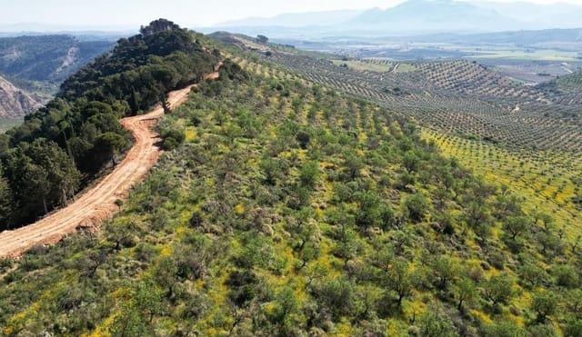 Undeveloped Land for sale in Archidona - € 1,195,000 (Ref: 8546101)