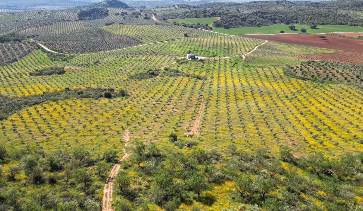 Grond te koop in Archidona - € 1.195.000 (Ref: 8546101)