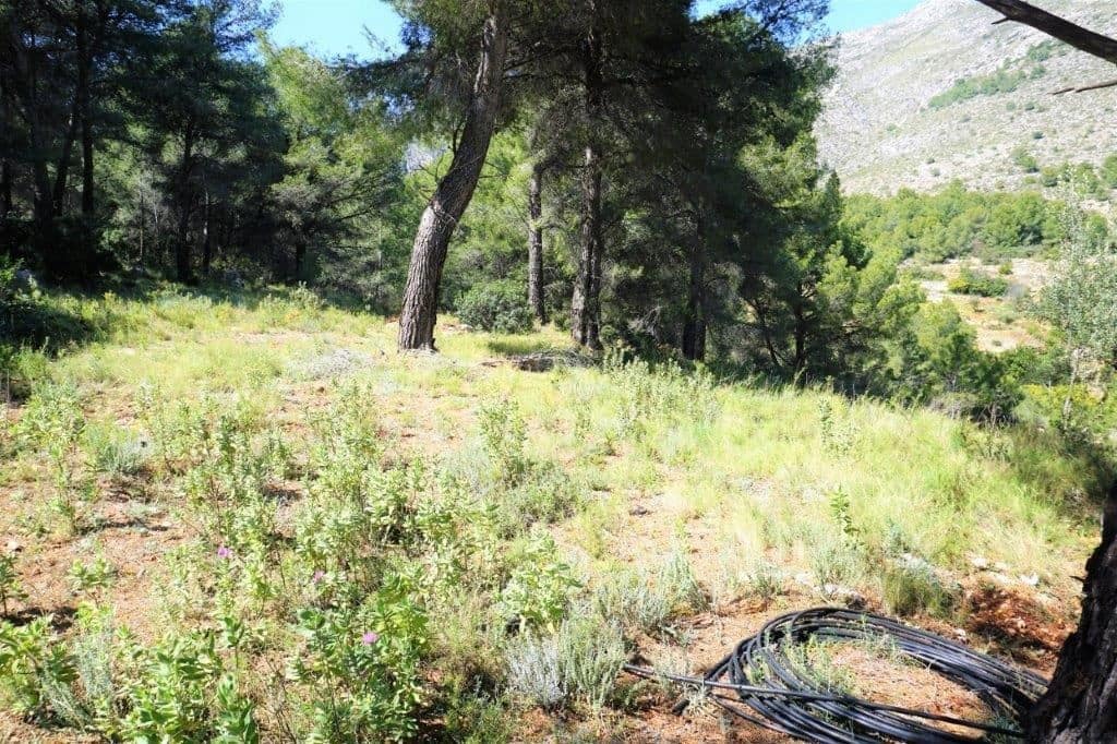 Grunde uden byggetilladelser til salg i Guadalest - € 360.000 (Ref: 4891511)