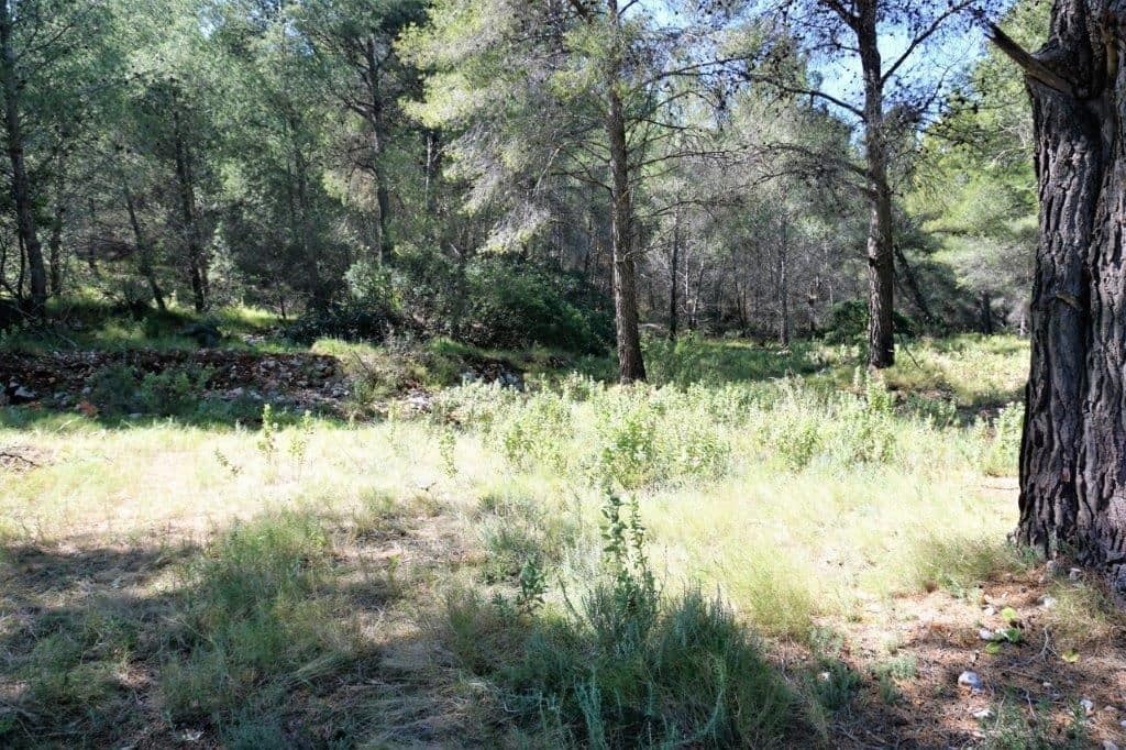 Grunde uden byggetilladelser til salg i Guadalest - € 360.000 (Ref: 4891511)