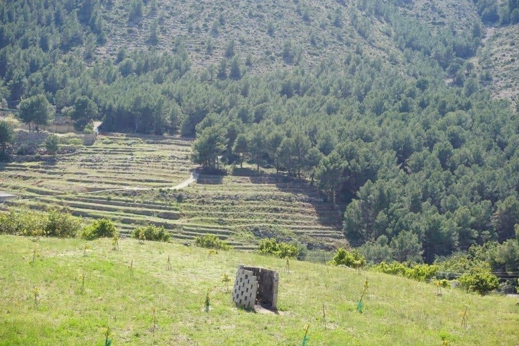 Grunde uden byggetilladelser til salg i Guadalest - € 360.000 (Ref: 4891511)