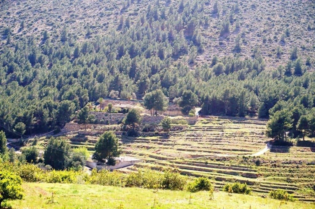 Grunde uden byggetilladelser til salg i Guadalest - € 360.000 (Ref: 4891511)