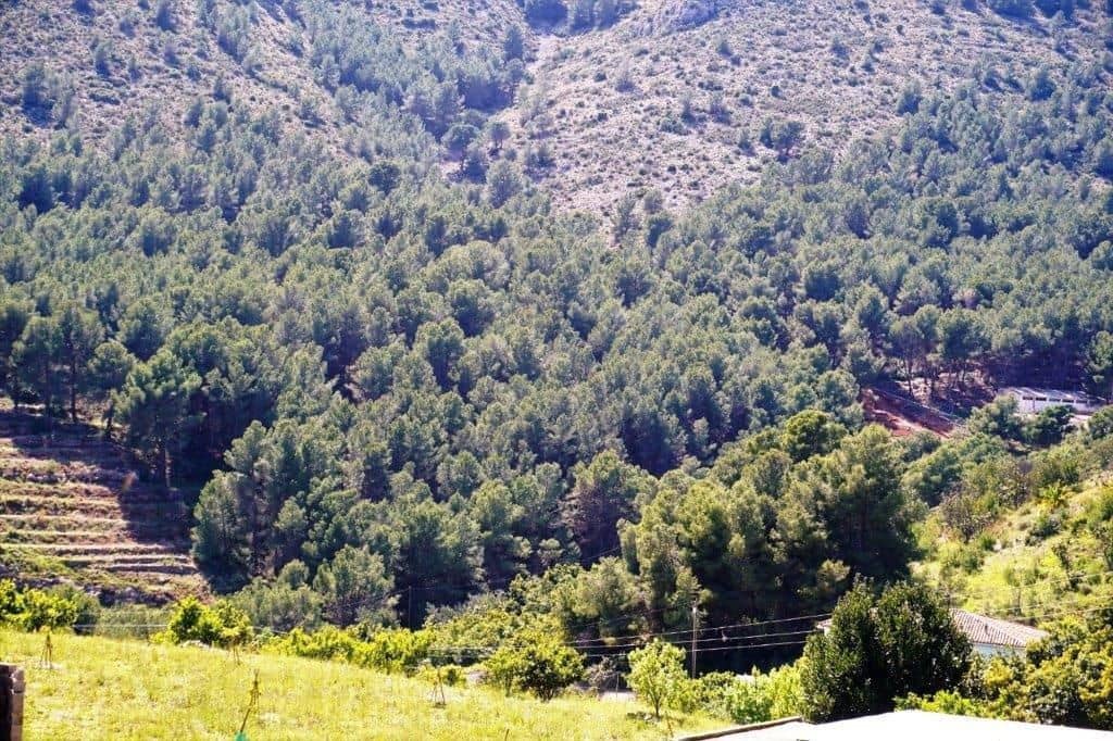 Grunde uden byggetilladelser til salg i Guadalest - € 360.000 (Ref: 4891511)