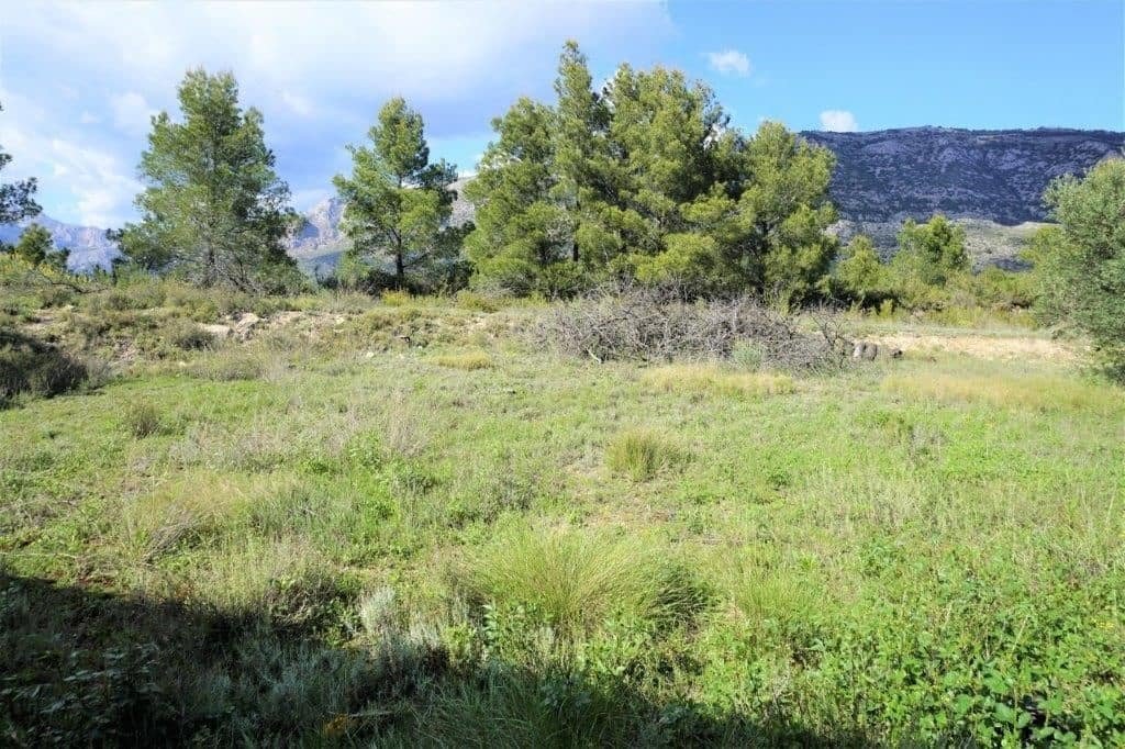 Grunde uden byggetilladelser til salg i Guadalest - € 85.000 (Ref: 4952376)
