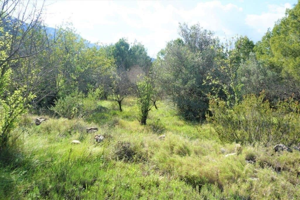 Grunde uden byggetilladelser til salg i Guadalest - € 85.000 (Ref: 4952376)