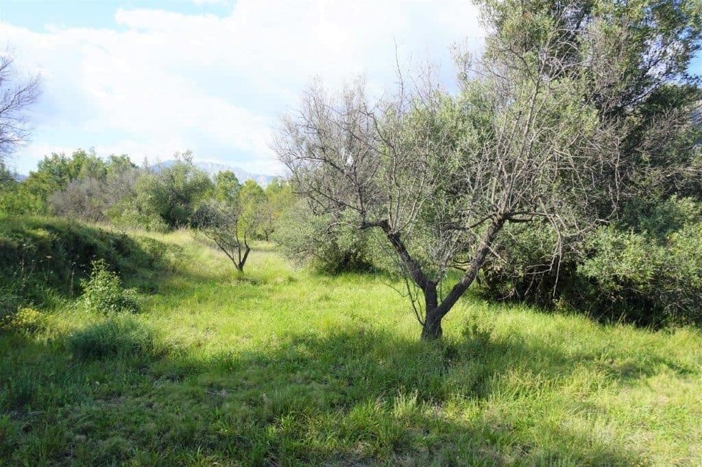 Grunde uden byggetilladelser til salg i Guadalest - € 85.000 (Ref: 4952376)