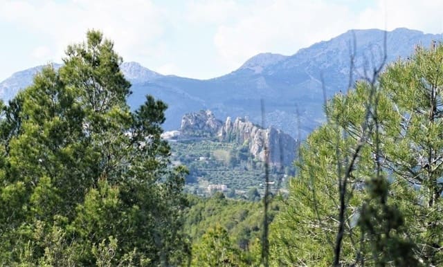 Terreno Non Edificato in vendita in Guadalest - 85.000 € (Rif: 4952376)