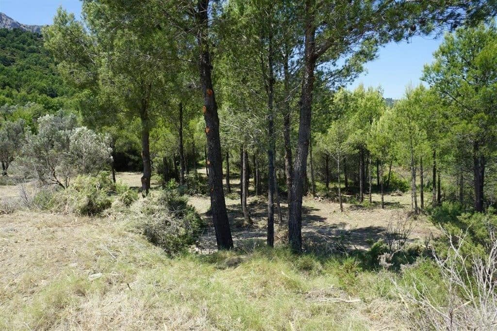 Grunde uden byggetilladelser til salg i Guadalest - € 85.000 (Ref: 4952376)