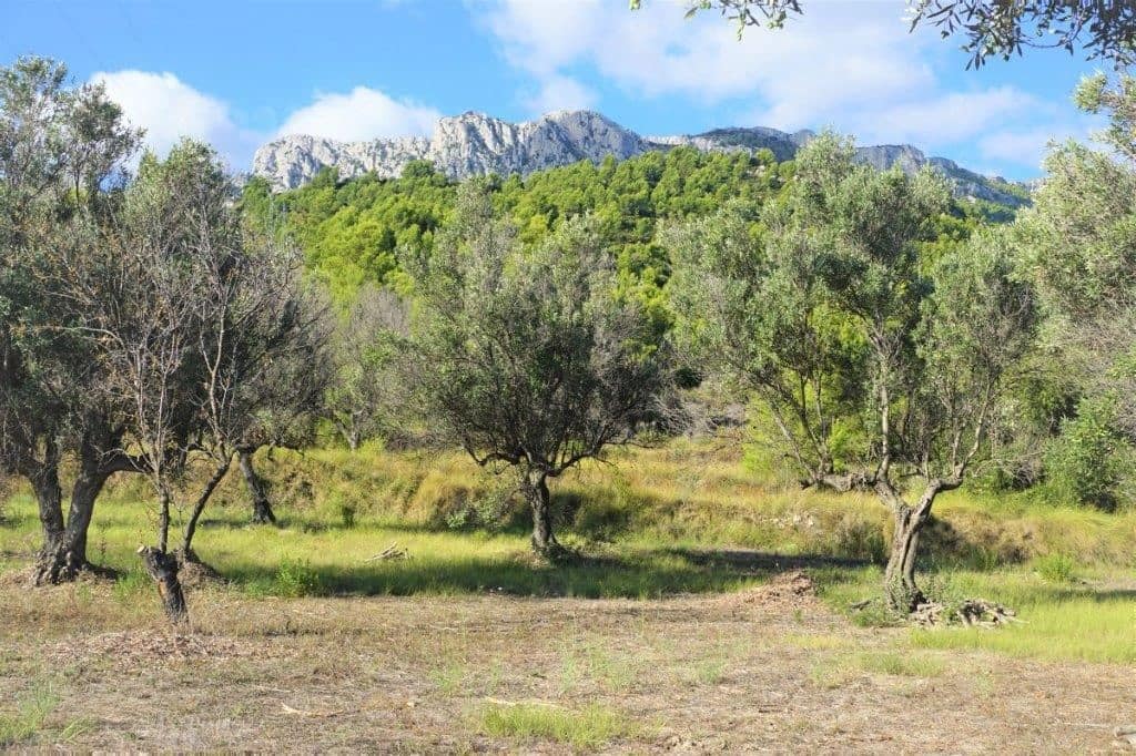 Grunde uden byggetilladelser til salg i Guadalest - € 85.000 (Ref: 4952376)