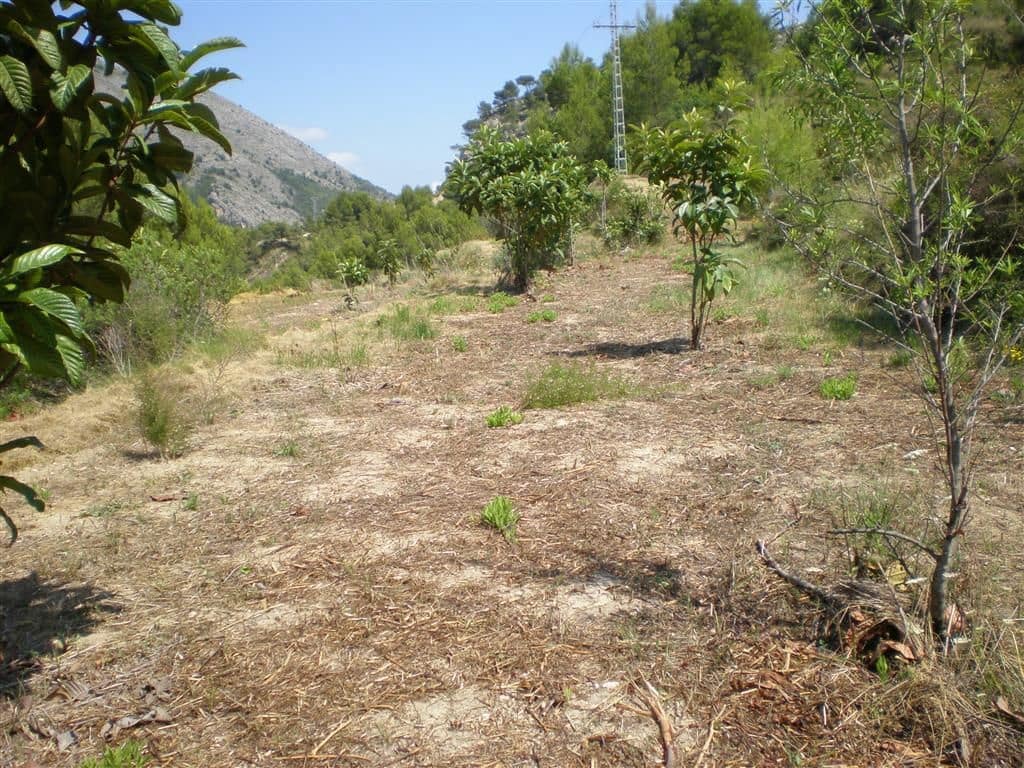 Grunde uden byggetilladelser til salg i Callosa d'En Sarria - € 58.000 (Ref: 5701958)