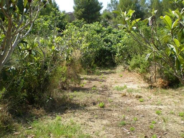 Grunde uden byggetilladelser til salg i Callosa d'En Sarrià - € 58.000 (Ref: 5701958)
