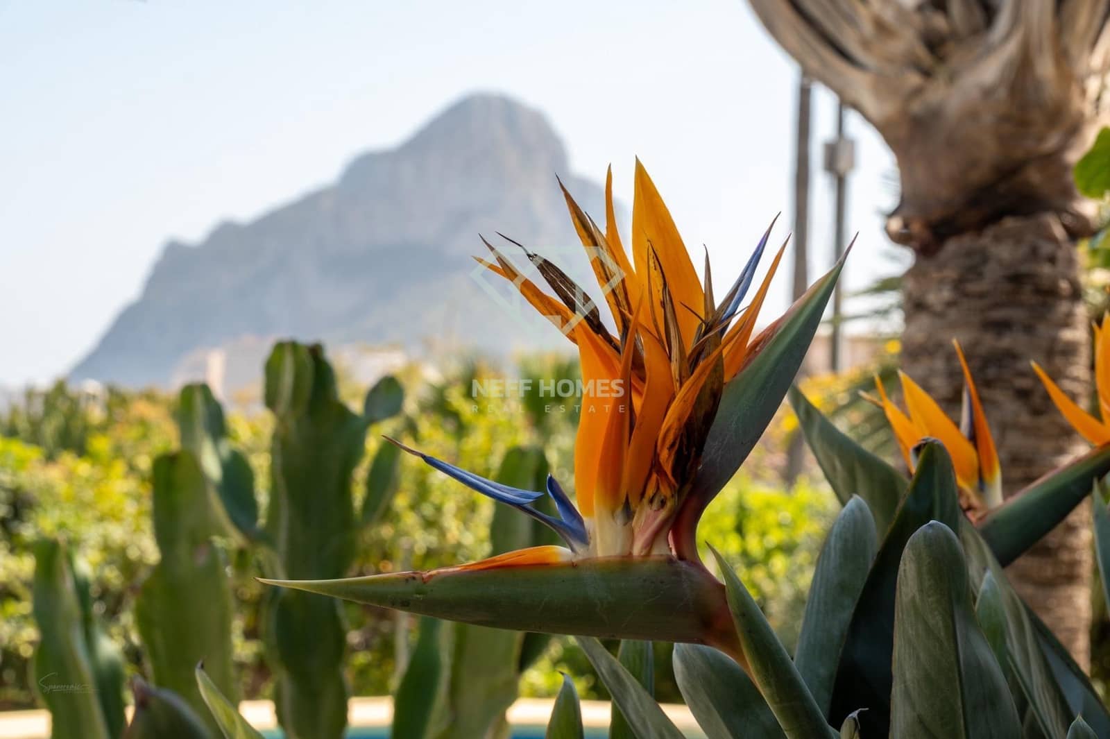 3 bedroom Villa for sale in Calpe / Calp with pool - € 640,000 (Ref: 9729368)