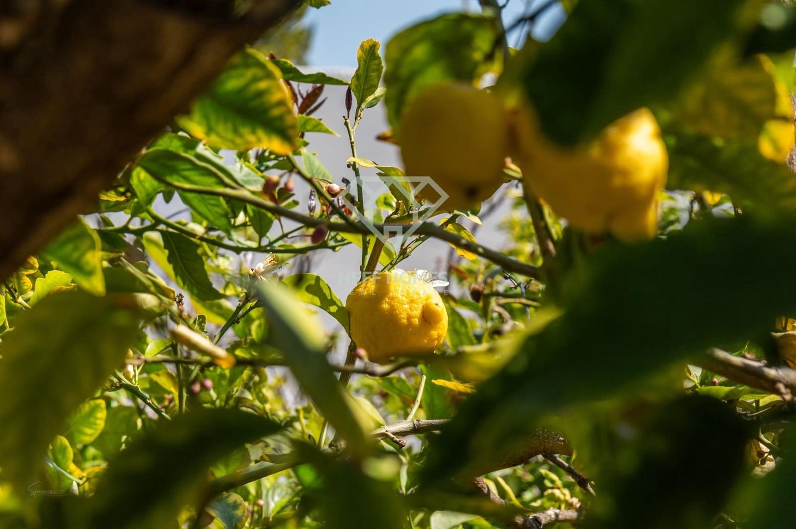 3 bedroom Villa for sale in Calpe / Calp with pool - € 640,000 (Ref: 9729368)