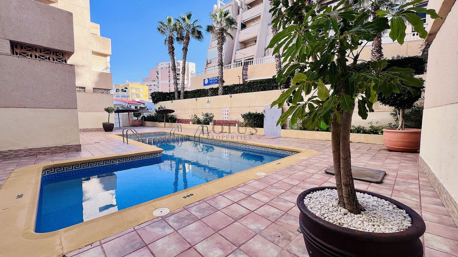 2 Zimmer Apartment zu verkaufen in Torrevieja mit Pool - 169.900 € (Ref: 9641066)