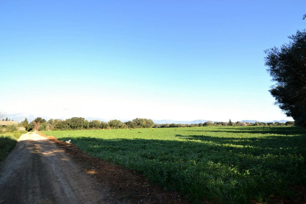 1 sypialnia Finka/Dom wiejski na sprzedaż w Llubi z garażem - 149 000 € (Ref: 4645449)