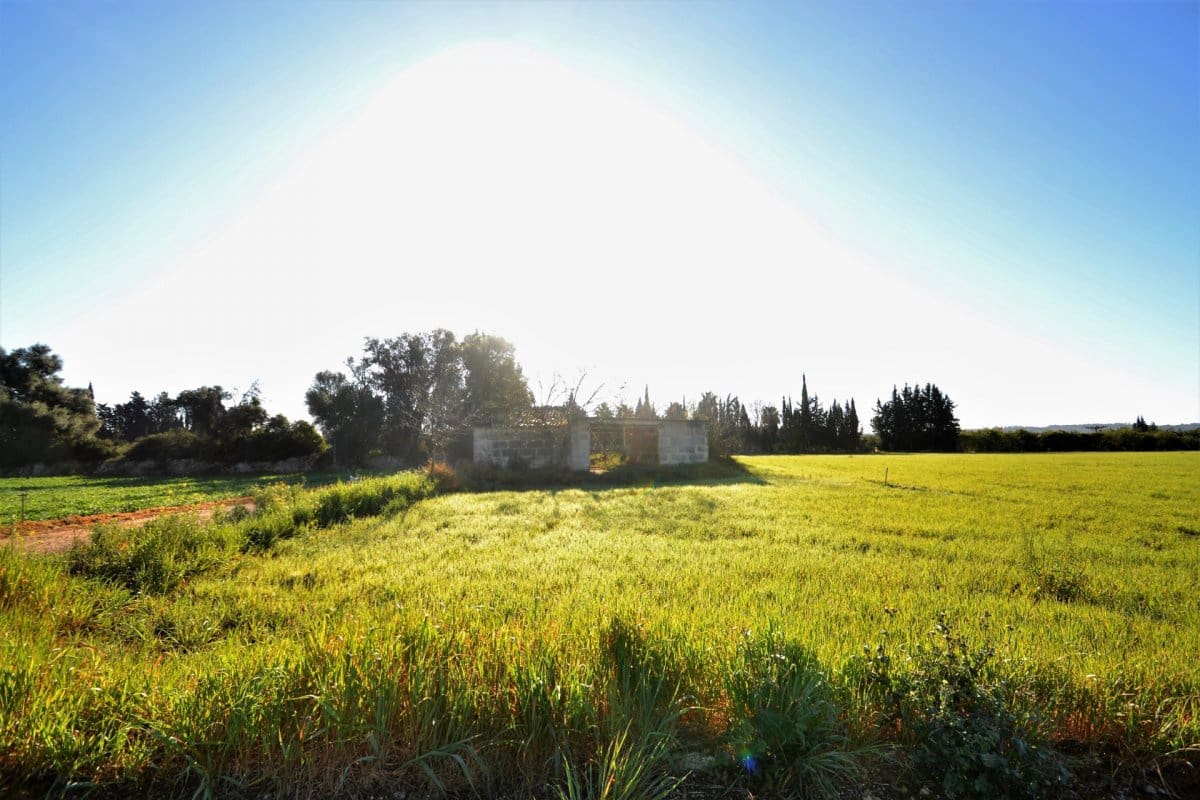 1 sypialnia Finka/Dom wiejski na sprzedaż w Llubi z garażem - 149 000 € (Ref: 4645449)