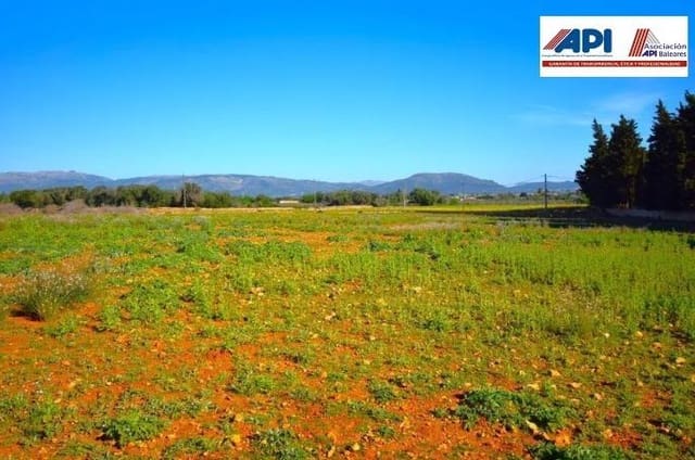 Maalaistalo myytävänä paikassa Muro mukana uima-altaan - 195 000 € (Ref: 8382819)