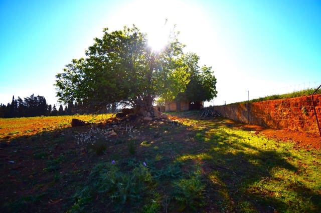 Maalaistalo myytävänä paikassa Muro mukana uima-altaan - 195 000 € (Ref: 8382819)