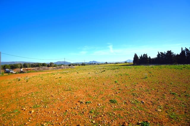 Maalaistalo myytävänä paikassa Muro mukana uima-altaan - 195 000 € (Ref: 8382819)