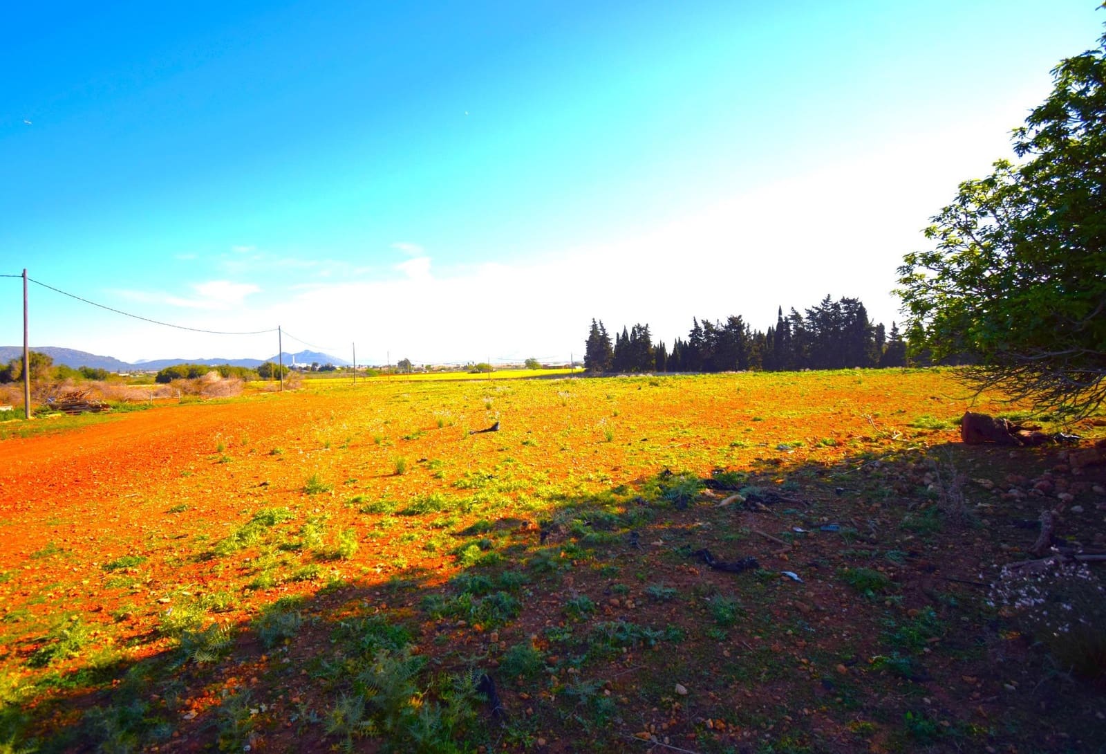 Maalaistalo myytävänä paikassa Muro mukana uima-altaan - 195 000 € (Ref: 8382819)