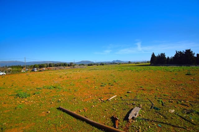 Maalaistalo myytävänä paikassa Muro mukana uima-altaan - 195 000 € (Ref: 8382819)