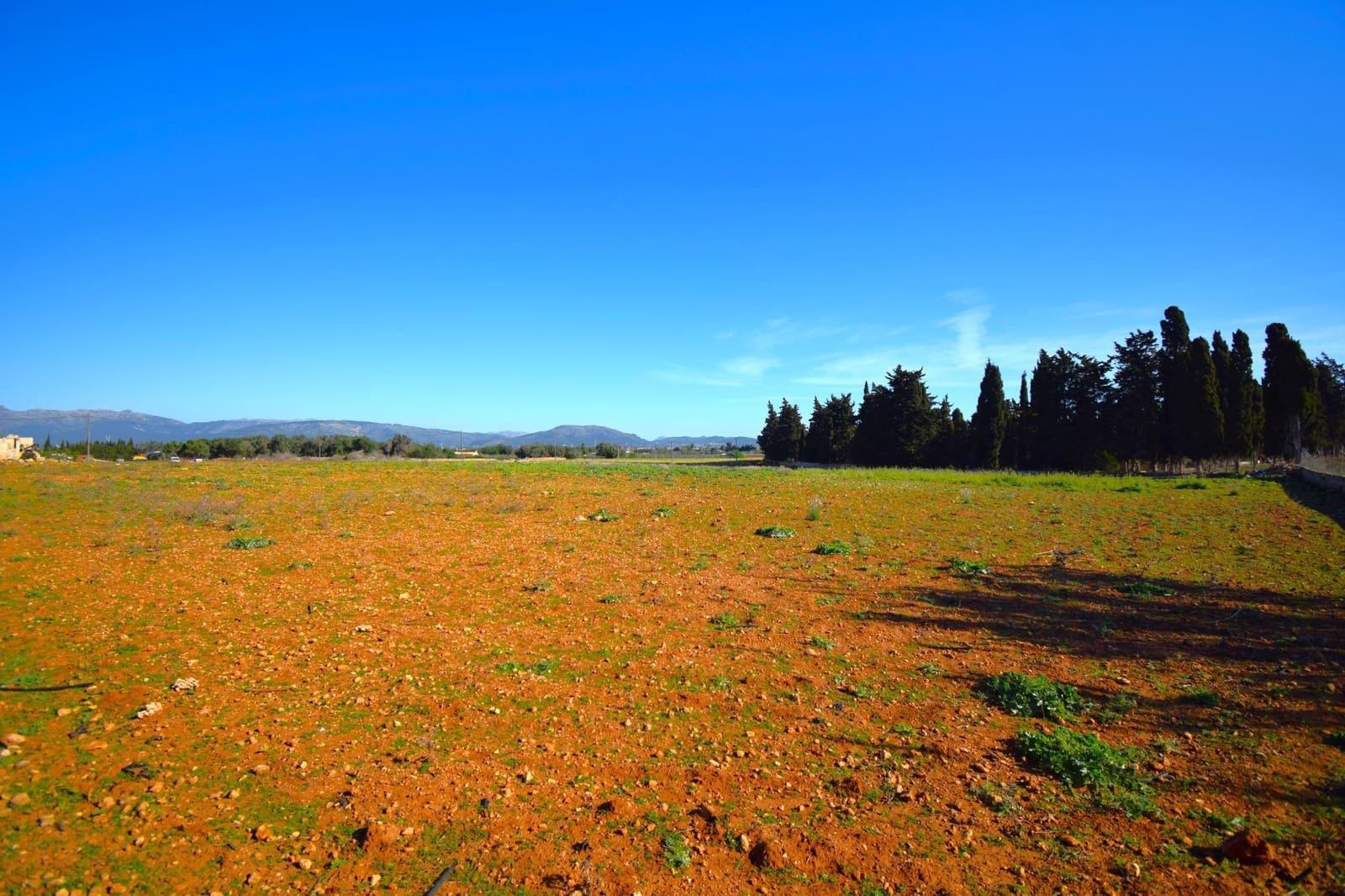 Maalaistalo myytävänä paikassa Muro mukana uima-altaan - 195 000 € (Ref: 8382819)